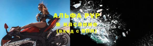 круглые Болотное