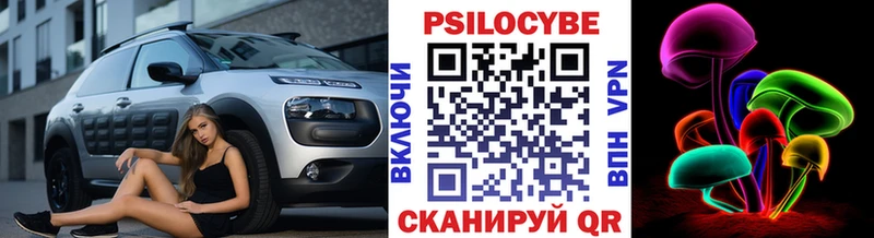 Галлюциногенные грибы Psilocybe  сайты даркнета официальный сайт  Салехард 