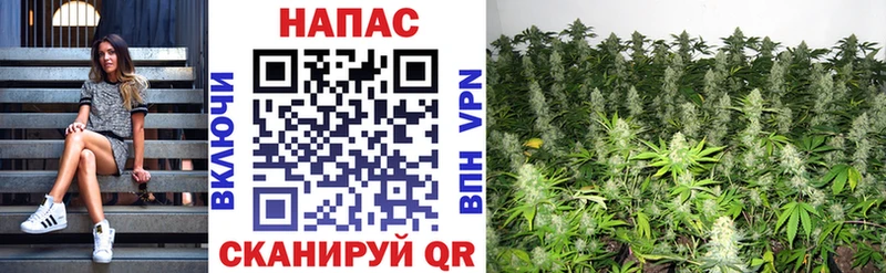 Каннабис White Widow  Салехард 